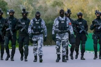 ديستي تؤمن افتتاح كأس افريقيا