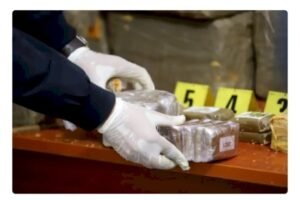 يقظة الدرك الملكي تجهض مخططا للتهريب الدولي وتصادر شحنة شيرا ومعدات متطورة بأسرير