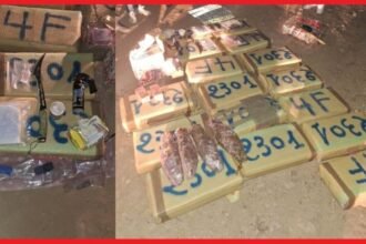 ورزازات: إحباط تهريب نصف طن من الشيرا بعد مواجهة مسلحة مع تجار المخدرات