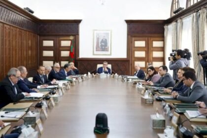 مجلس الحكومة يصادق على إحداث معهد التكوين في مهن البناء والأشغال العمومية بفاس