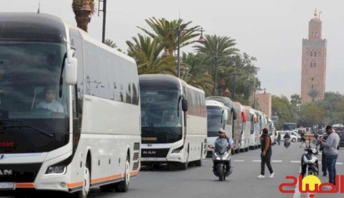 بامنصور: النقل السياحي جاهز لمواكبة كان المغرب