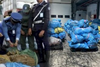 حجز أزيد من 8 أطنان من مخدر الشيرا بميناء طنجة المتوسط