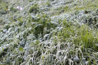 طقس الخميس.. أمطار ورياح قوية بهذه المناطق