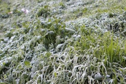 طقس الخميس.. أمطار ورياح قوية بهذه المناطق