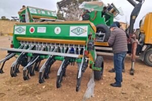 وجدة.. تعزيز تقنية (الزرع المباشر) لمواجهة التحديات المناخية