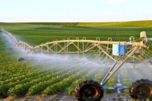 البام ينبه وزارة الفلاحة إلى مخاطر استعمال المبيدات الكيميائية