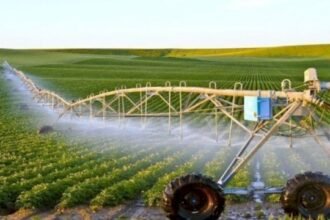 البام ينبه وزارة الفلاحة إلى مخاطر استعمال المبيدات الكيميائية