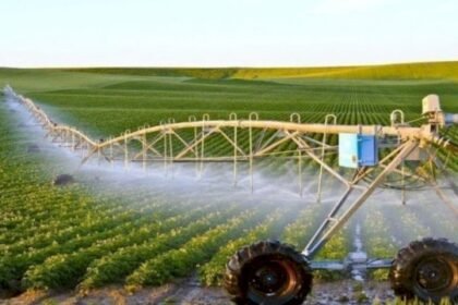 البام ينبه وزارة الفلاحة إلى مخاطر استعمال المبيدات الكيميائية