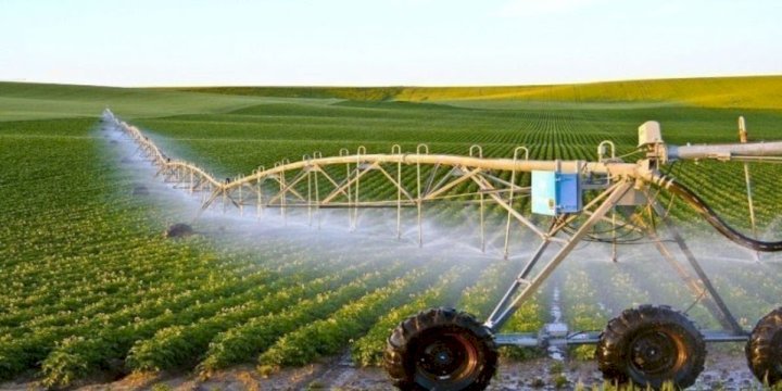 البام ينبه وزارة الفلاحة إلى مخاطر استعمال المبيدات الكيميائية