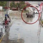 فيديو-طريف-يهز-مواقع-التواصل…حصان-يجر-سيارة-نفد-وقودها-حتى-محطة-التعبئة-في-تركيا